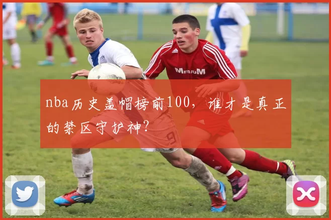 nba历史盖帽榜前100，谁才是真正的禁区守护神？
