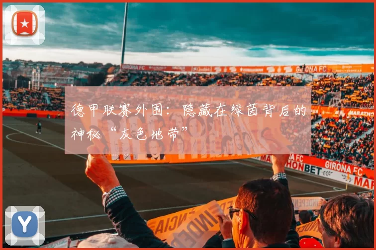 德甲联赛外围：隐藏在绿茵背后的神秘“灰色地带”