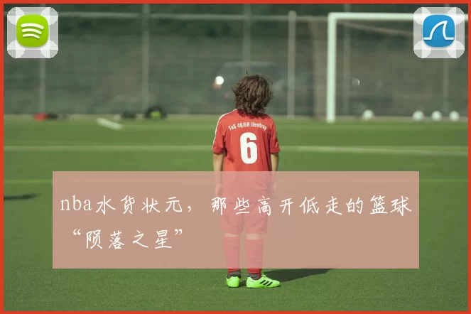 nba水货状元，那些高开低走的篮球“陨落之星”