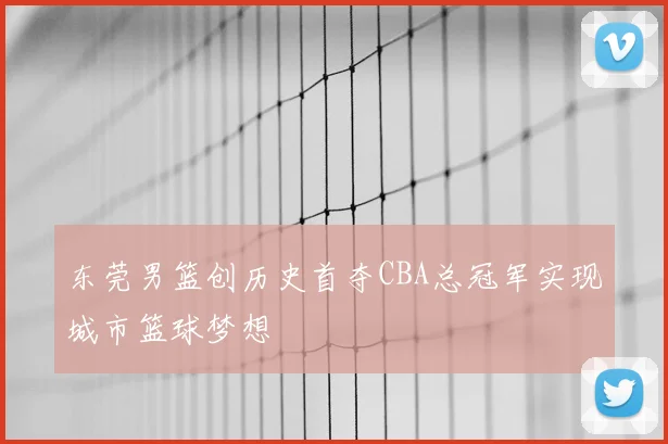 东莞男篮创历史首夺CBA总冠军实现城市篮球梦想